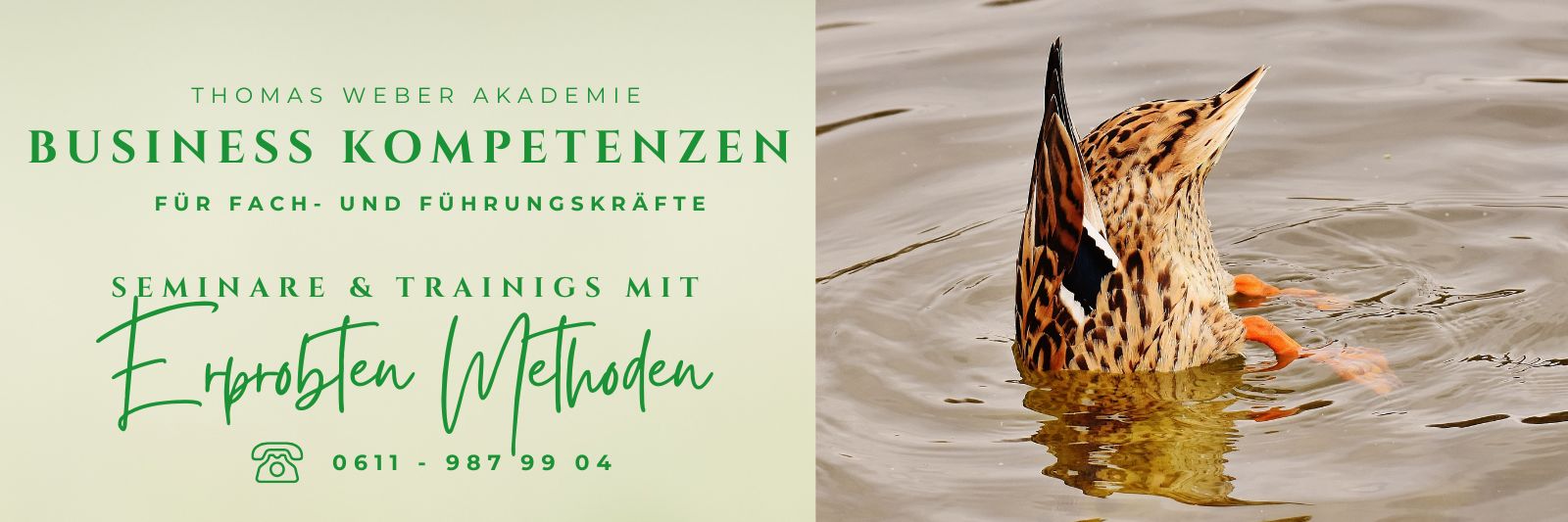 Methoden um Führung zu lernen in Frankfurt