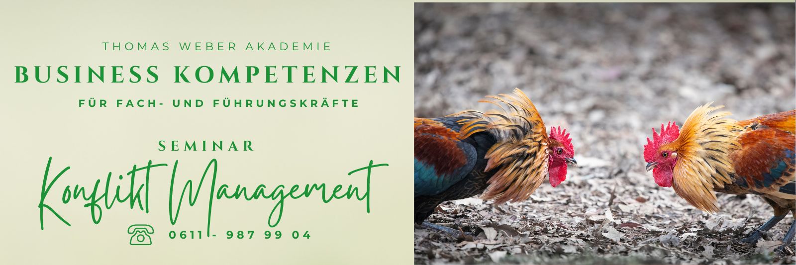 Seminar Konfliktfähigkeit Frankfurt